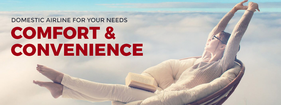 Choosing the Best Domestic Airline for Your Needs: Comfort and Convenience